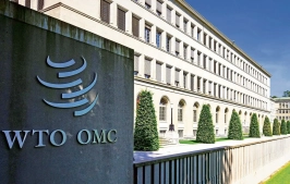 India WTO Championing Food Security and Fair Trade