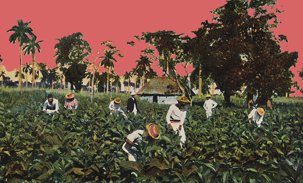 Cuban Artist Infuses Tobacco Leaves into Unique Portraits