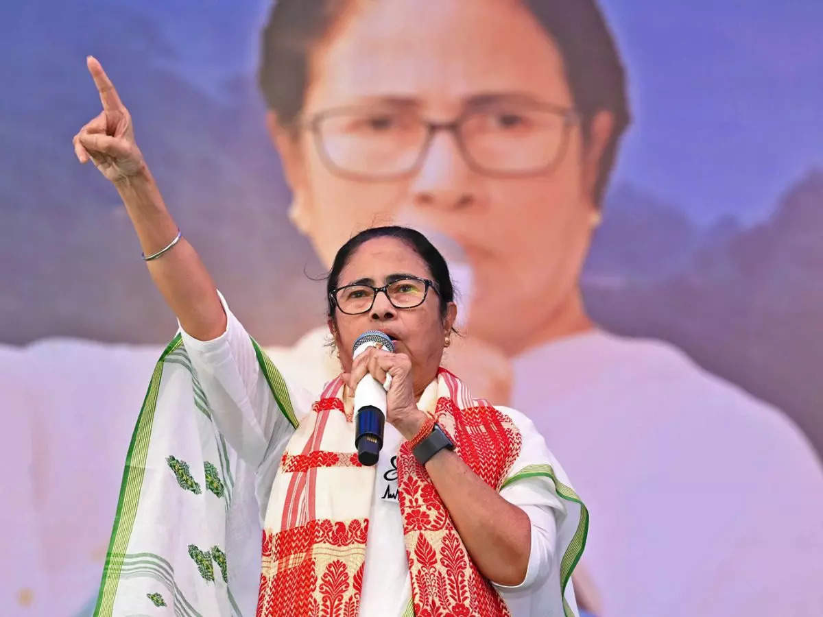 Mamata Banerjee, From Activism to Chief Ministership