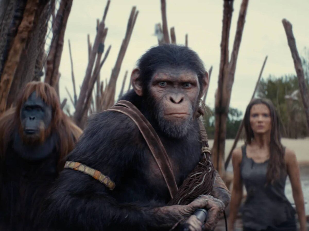 Kingdom of the Planet of the Apes(2024), Overview