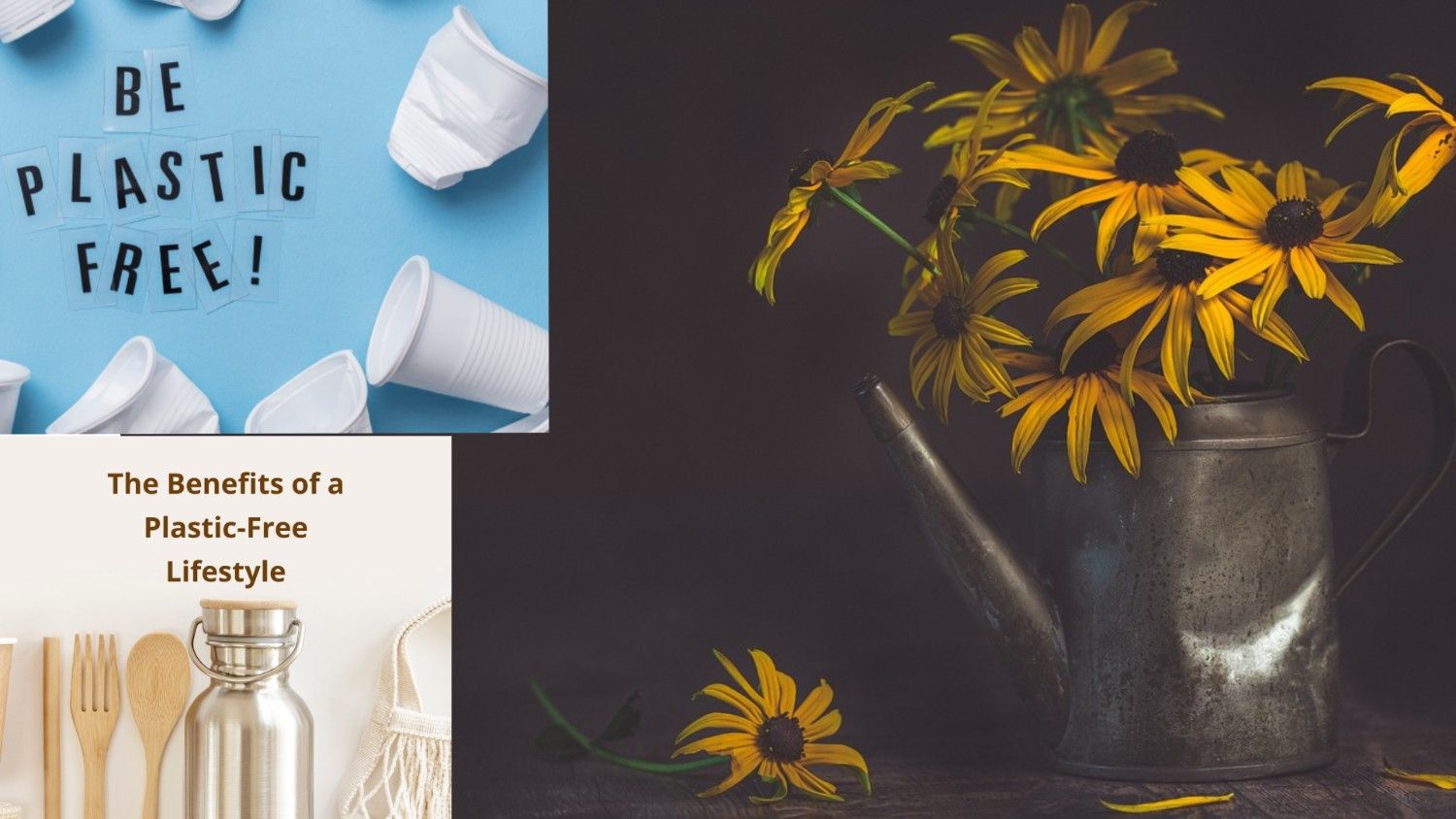 Plastic-Free Living: How to Make Small Changes with a Big Impact