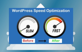 Speed and Performance Optimization for Your WordPress Site