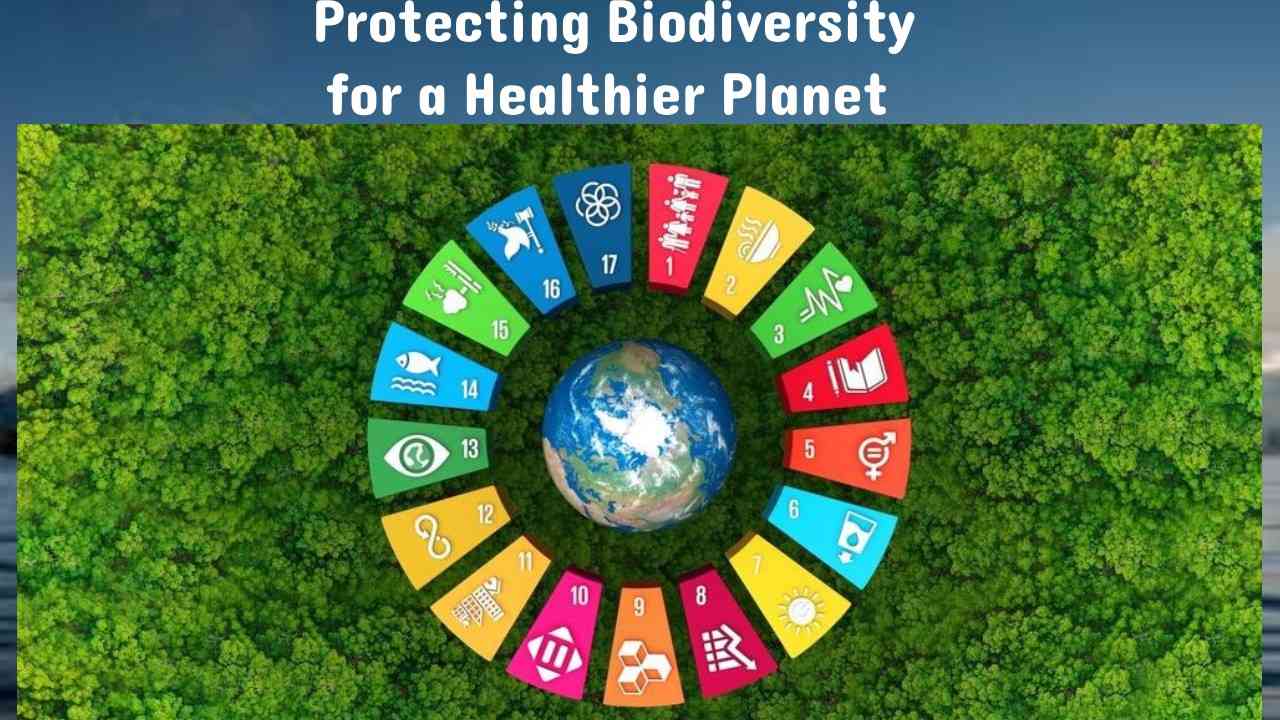 Protecting Biodiversity for a Healthier Planet