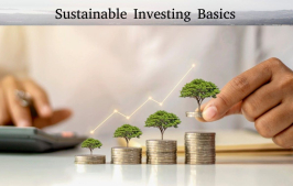 Sustainable Investing Basics