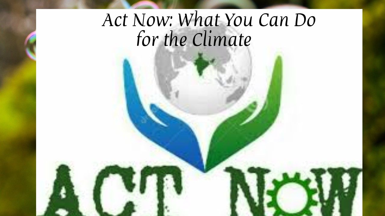 Act Now: What You Can Do for the Climate