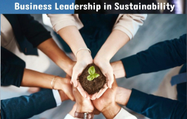 Business Leadership in Sustainability
