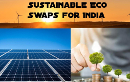 Sustainable Eco Swaps for India