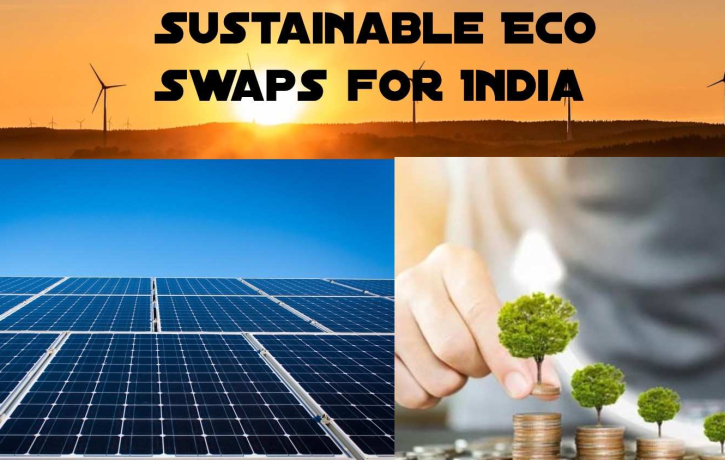 Sustainable Eco Swaps for India