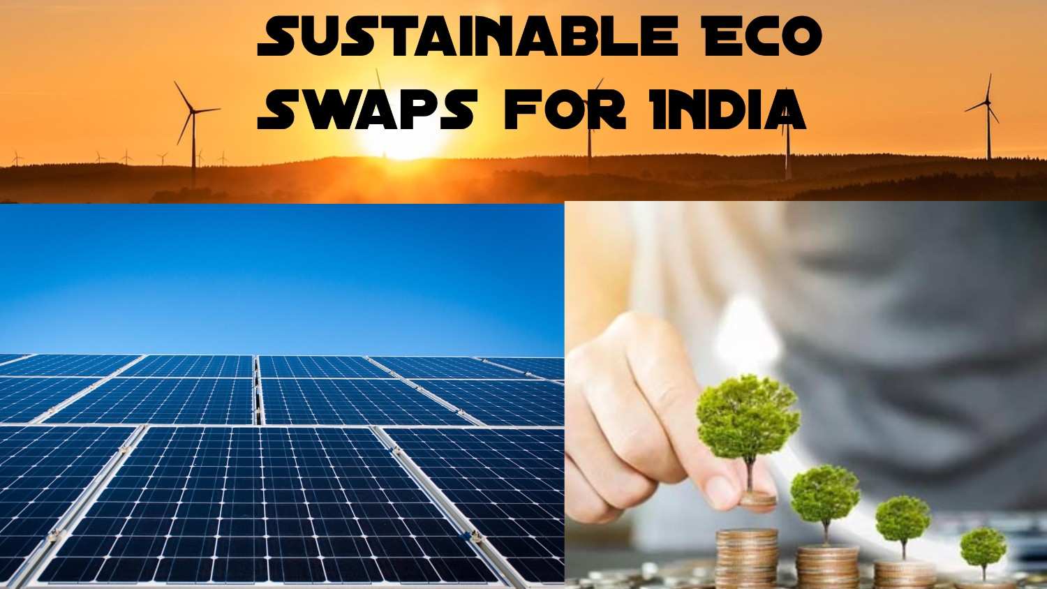 Sustainable Eco Swaps for India