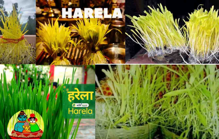 Harela Festival 2025